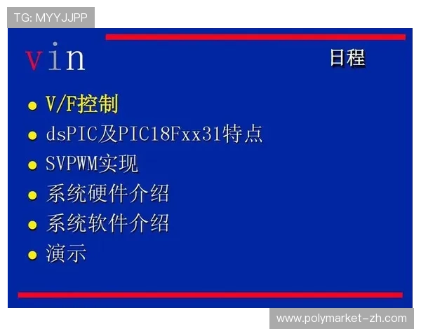 深入探讨DS视讯游戏网站的魅力与玩法特色